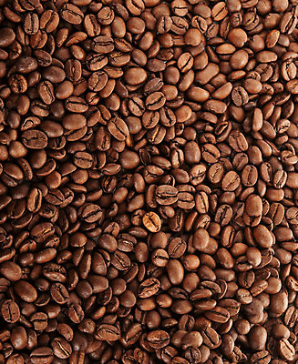 포토 JPG 해외이미지 커피 음료 콩 사람없음 카페 굽기 아라비카 해외202004 해외포토 곡류 상점 구이 파일형식 이미지허브