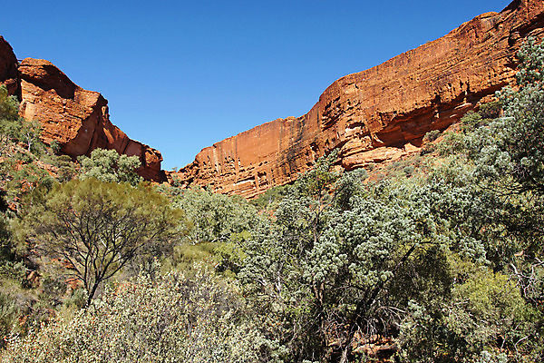 포토 JPG 해외이미지 여행 자연 산 파노라마 풍경 사람없음 야외 골짜기 트래킹 하이킹 호주 암초 오지 해외202004 해외포토 레저 촬영기법 오세아니아 생태계 파일형식 이미지허브