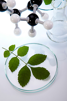 포토 JPG 해외이미지 식물 잎 실내 실험 사람없음 액체 화학 실험실 플라스크 흰배경 비커 화학실험 분자구조모형 샬레 해외202004 해외포토 과학 백그라운드 실험기구 내부 모형 흰색 분자구조 파일형식 이미지허브