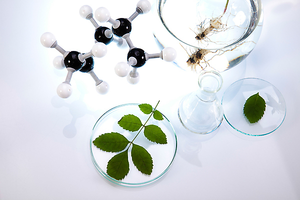 포토 JPG 해외이미지 식물 실내 실험 사람없음 액체 화학 실험실 플라스크 흰배경 비커 화학실험 분자구조모형 샬레 해외202004 해외포토 과학 백그라운드 실험기구 내부 모형 흰색 분자구조 파일형식 이미지허브