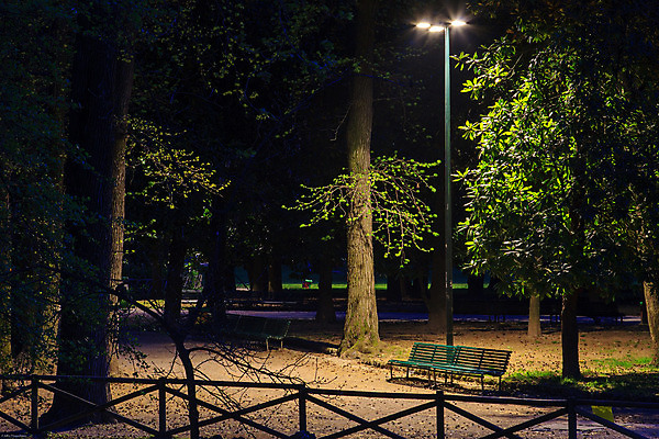 포토 JPG 해외이미지 나무 공원 벤치 사람없음 목재 초록색 빛 정원 야간 저녁 밀라노 해외202004 해외포토 자연요소 식물 공공시설 컬러 의자 재료 이탈리아 파일형식 이미지허브