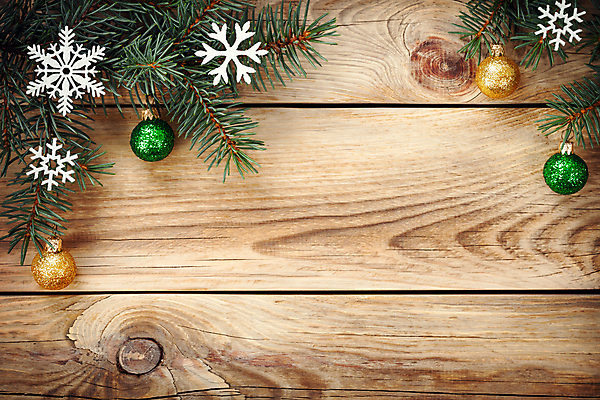 포토 JPG 해외이미지 나무 백그라운드 크리스마스 겨울 패턴 공 자연 탁자 휴가 새로움 프레임 사람없음 목재 장식 초록색 갈색 우주 수확 흰색 나뭇가지 소나무 황금 널 연도 질감 상록수 전나무 옛날 가문비나무 해외202004 해외포토 식물 계절 기념일 컬러 가구 컨셉 무늬 농업 재료 생태계 파일형식 이미지허브