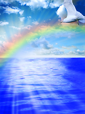 포토 JPG 해외이미지 구름 호수 파도 바다 무지개 갈매기 조류 하늘 풍경 사람없음 물 여름 파란색 햇빛 태양 잔물결 수평선 해외202004 해외포토 자연요소 동물 계절 물결 컬러 파일형식 이미지허브