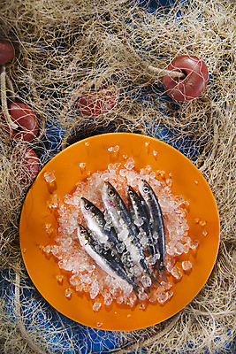 포토 JPG 해외이미지 접시 식재료 실내 사람없음 얼음 신선 그물 멸치 앤초비 해외202004 해외포토 자연요소 식기 어류 내부 파일형식 이미지허브