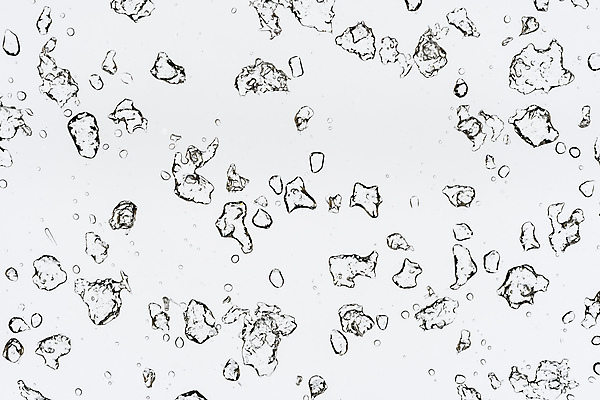 포토 JPG 해외이미지 디자인 계절 백그라운드 크리스마스 겨울 패턴 창문 자연 유리 표면 날씨 추상 휴가 프레임 사람없음 물 파란색 얼음 추위 흰색 신선 눈송이 시원함 크리스탈 질감 서리 내추럴 반투명 프로스팅 해외202004 해외포토 자연요소 기념일 컬러 무늬 재질 눈_날씨 광석 생태계 제빵 파일형식 이미지허브