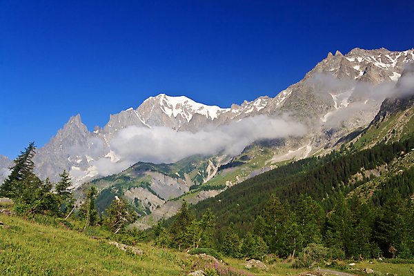 포토 JPG 해외이미지 나무 구름 유럽 여행 자연 하늘 휴가 산 풍경 사람없음 가로 여름 파란색 햇빛 계곡 맑음 이탈리아 등산 정상 고도 빙하 알프스 암초 절정 해외202004 해외포토 자연요소 식물 계절 나라 컬러 날씨 태양 트래킹 생태계 파일형식 이미지허브