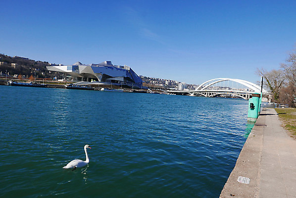 포토 JPG 해외이미지 건축양식 오리 파노라마 사람없음 건물 강 도시 역사 재산 백조 리옹 해외202004 해외포토 건축물 건축 조류 촬영기법 금융 파일형식 이미지허브