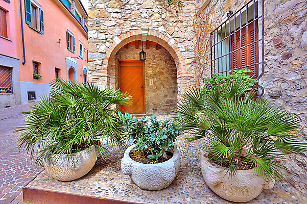 포토 JPG 해외이미지 식물 전통 외관 유럽 벽 여행 건축양식 거리 주택 손바닥 사람없음 야외 건물 초록색 여행객 문 마을 이탈리아 도시 역사 냄비 작음 땅 지중해 좁은 타운 옛날 해외202004 해외포토 건축물 손 건축 나라 바다 컬러 사람 솥 크기 파일형식 이미지허브