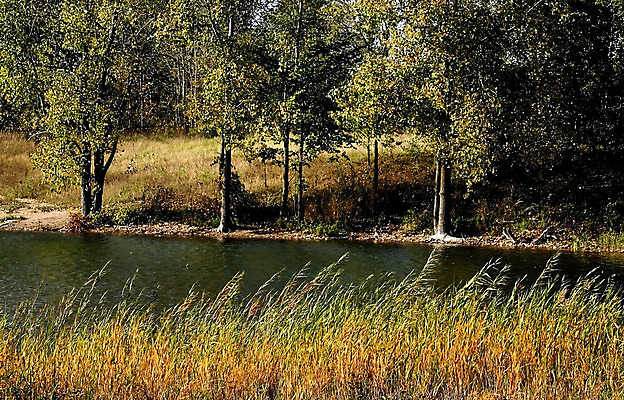 포토 JPG 해외이미지 나무 공원 호수 잎 오렌지 자연 풍경 사람없음 빨간색 초록색 파란색 컬러풀 노란색 평화 젖음 가을 연못 그림 장면 해외202004 해외포토 식물 계절 공공시설 컬러 컨셉 과일 생태계 파일형식 이미지허브