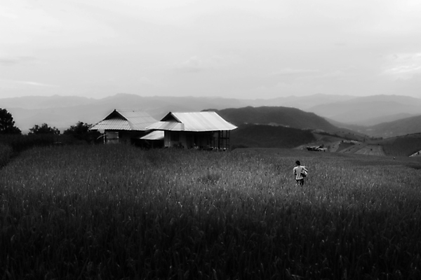 포토 JPG 해외이미지 구름 여행 태국 하늘 밥 산 풍경 사람없음 관광지 고요 내추럴 해외202004 해외포토 자연요소 아시아 음식 파일형식 이미지허브