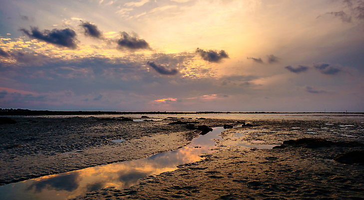 포토 JPG 해외이미지 구름 모래 바다 백그라운드 오렌지 자연 조류 하늘 아침 풍경 사람없음 물 파란색 빛 컬러풀 햇빛 태양 반사 일출 맑음 황혼 일몰 새벽 바위 개울 점토 내추럴 잔물결 해일 수평선 해외202004 해외포토 주간 자연요소 동물 물결 컬러 과일 날씨 강 노을 돌_바위 자연재해 생태계 파일형식 이미지허브