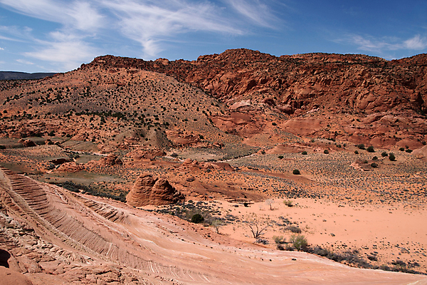 포토 JPG 해외이미지 북아메리카 자연 산 풍경 사람없음 빨간색 미국 사막 바위 황무지 비밀 해외202004 해외포토 컬러 컨셉 아메리카 돌_바위 생태계 파일형식 이미지허브