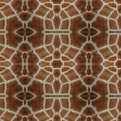 포토 JPG 해외이미지 동물 야생동물 백그라운드 패턴 포유류 아프리카 자연 초식동물 추상 털 사람없음 갈색 흰색 큼 가죽 기린 사파리 피부 질감 진짜 초식 해외202004 해외포토 나라 컬러 무늬 신체부위 크기 생태계 파일형식 이미지허브