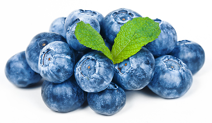 포토 JPG 해외이미지 열매 음식 잎 과일 자연 사람없음 파란색 흰색 신선 달콤 오브젝트 블루베리 내추럴 고립 숙성 월귤 해외202004 해외포토 식물 컬러 맛 생태계 파일형식 이미지허브