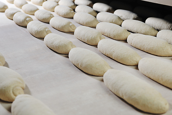 포토 JPG 해외이미지 빵 공장 실내 사람없음 반죽 일렬 해외202004 해외포토 음식 공업 내부 파일형식 이미지허브