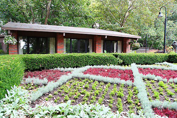 포토 JPG 해외이미지 나무 식물 계절 공원 꽃 벽 백그라운드 패턴 밭 오렌지 자연 아침 사람없음 야외 빨간색 초록색 여름 빛 컬러풀 노란색 환경 정원 봄 바위 신선 유기농 내추럴 효과 해외202004 해외포토 주간 웰빙 공공시설 컬러 무늬 농업 과일 돌_바위 생태계 파일형식 이미지허브