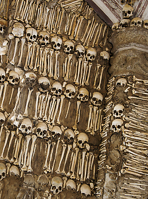 포토 JPG 해외이미지 유럽 종교 벽 유적 뼈 골격 사람 사람없음 교회 할로윈 죽음 무덤 중세 역사 승려 포르투갈 묘사 고딕 해골모형 오싹 해외202004 해외포토 전통 나라 종교건축 건물 모형 성직자 파일형식 이미지허브