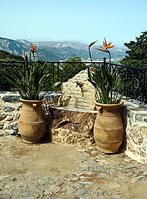 포토 JPG 해외이미지 꽃 바다 섬 여행 하늘 휴가 산 사람없음 물 파란색 노란색 바위 도자기 냄비 타일 그리스 휴양지 장면 그리스인 미코노스섬 해외202004 해외포토 자연요소 서양인 식물 유럽 컬러 장소 돌_바위 솥 파일형식 이미지허브