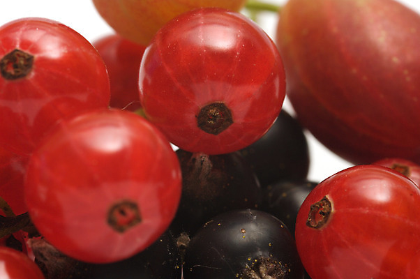 포토 JPG 해외이미지 식물 열매 음식 백그라운드 다이어트 과일 재료 건강 식이요법 사람없음 빨간색 빛 농작물 검은색 식사 수확 흰색 신선 그룹 닫기 달콤 상품 다발 유기농 날것 블랙베리 흙더미 내추럴 건포도 구스베리 생식 숙성 해외202004 해외포토 웰빙 컬러 농업 모션 포도 흙 맛 건과일 파일형식 더미 이미지허브