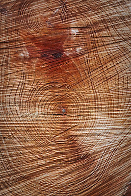 포토 JPG 해외이미지 나무 백그라운드 부분 자연 벽지 날씨 건조 사람없음 목재 갈색 검은색 회색 성장 반지 소나무 원형 거친 균열 자르기 묘사 오브젝트 만족 질감 통나무 잡동사니 내추럴 방사형 수목 썩음 옛날 노화 해외202004 해외포토 도형 식물 감정 컬러 컨셉 재료 장신구 모션 생태계 파일형식 이미지허브