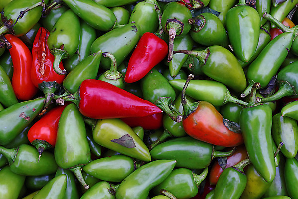 포토 JPG 해외이미지 잡화 계절 백그라운드 패턴 농업 채소 재료 고추 파프리카 건강 사람없음 빨간색 초록색 농작물 세일 상점 수확 신선 뜨거움 그룹 시장 닫기 정상 향신료 각도 후추 소매 흙더미 밭일 할라피뇨 많음 해외202004 해외포토 산업 컬러 컨셉 무늬 모션 흙 향미료 파일형식 더미 이미지허브