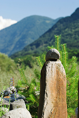 포토 JPG 해외이미지 나무 식물 꽃 유럽 여행 꽃무늬 자연 산 풍경 사람없음 초록색 여름 파란색 환경 정원 계곡 맑음 성장 신선 스위스 언덕 생물학 알프스 해외202004 해외포토 계절 교육 나라 컬러 무늬 날씨 생태계 파일형식 이미지허브