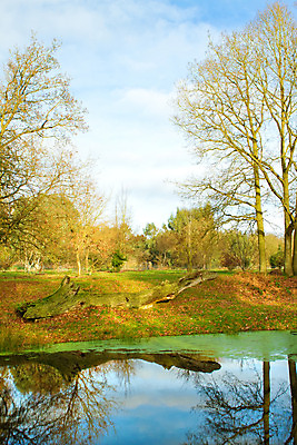 포토 JPG 해외이미지 나무 구름 영어 계절 공원 호수 벽 잎 밭 자연 아침 영국 잉글랜드 풍경 사람없음 야외 초록색 물 강 컬러풀 햇빛 농장 평화 정원 침묵 가을 바위 시골 숲 백조 장면 삼림지대 전국 컴브리아주 해외202004 해외포토 주간 자연요소 식물 문자 공공시설 유럽 컬러 컨셉 농업 조류 태양 소리 돌_바위 생태계 파일형식 이미지허브