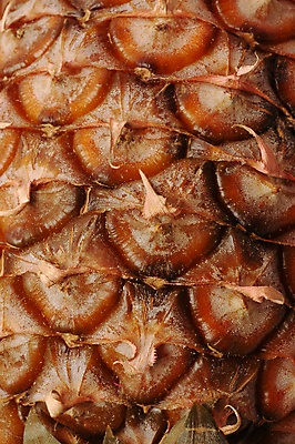 포토 JPG 해외이미지 식물 음식 조각 백그라운드 잎 다이어트 과일 디저트 그림자 사람없음 초록색 노란색 껍질 흰색 신선 최고 원형 달콤 맛 먹기 파인애플 오브젝트 만족 유기농 질감 하와이 내추럴 고립 짠맛 해외202004 해외포토 도형 웰빙 감정 컬러 컨셉 모션 건강 미국 열대과일 파일형식 이미지허브