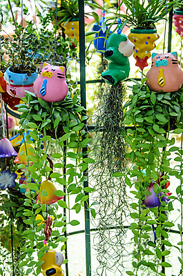 포토 JPG 해외이미지 나무 식물 공원 벽 백그라운드 컨셉 잎 패턴 태국 자연 벽지 표면 추상 사람없음 야외 세로 초록색 여름 환경 정원 봄 성장 큼 관목 묘사 원예 질감 상록수 내추럴 강렬 생태학 줄서기 테마 해외202004 해외포토 계절 공공시설 교육 아시아 컬러 무늬 모션 취미 크기 생태계 파일형식 이미지허브