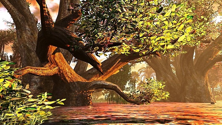 포토 JPG 해외이미지 나무 식물 호수 자연 아침 열대 풍경 사람없음 물 강 일출 환경 황혼 일몰 새벽 저수지 황무지 습지 저녁 숲 홍수 생태계 서식지 변소 삼림지대 플로리다 해외202004 해외포토 주간 자연요소 노을 미국 야간 자연재해 파일형식 이미지허브