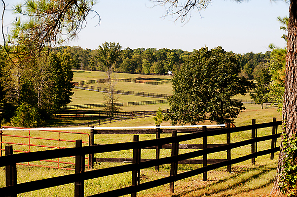 포토 JPG 해외이미지 나무 계절 밭 농업 자연 하늘 풍경 잔디 사람없음 야외 목재 초록색 여름 파란색 울타리 농장 농경지 평화 우주 환경 맑음 봄 목장 가을 시골 재산 땅 언덕 장면 내추럴 넘어짐 밭일 진짜 해외202004 해외포토 식물 산업 컬러 컨셉 재료 모션 날씨 금융 담장 생태계 파일형식 이미지허브
