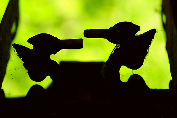 포토 JPG 해외이미지 실루엣 조류 저울 사람없음 야외 초록색 골동품 몸무게 철 심볼 천칭자리 덩어리 구식 옛날 해외202004 해외포토 동물 컬러 촬영기법 별자리 파일형식 이미지허브