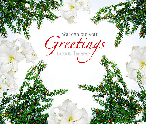포토 JPG 해외이미지 나무 전통 계절 꽃 크리스마스 겨울 휴가 프레임 사람없음 장식 초록색 화환 기쁨 흰색 나뭇가지 인사 12월 고립 가문비나무 카피스페이스 해외202004 해외포토 식물 기념일 감정 컬러 공백 예절 날짜 파일형식 이미지허브