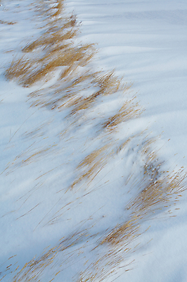 포토 JPG 해외이미지 이동 캐나다 겨울 바람 건조 사람없음 냉동 얼음 추위 앨버타 제설기 해외202004 해외포토 자연요소 계절 컨셉 북아메리카 날씨 제설 파일형식 이미지허브