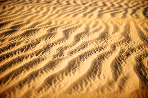 포토 JPG 해외이미지 모래 여행 자연 하늘 날씨 건조 따뜻함 풍경 사람없음 야외 여름 모래사장 태양 맑음 사막 자유 뜨거움 구매 이슬람교 모래언덕 언덕 사하라 내추럴 아랍에미리트 두바이 아랍어 해외202004 해외포토 자연요소 계절 종교 바다 컨셉 중동 아프리카 쇼핑 생태계 파일형식 이미지허브