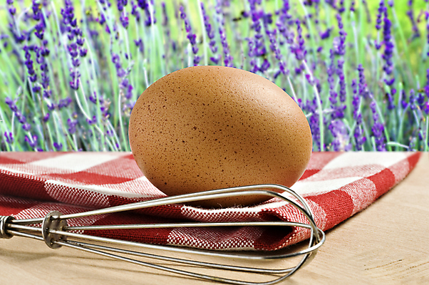 포토 JPG 해외이미지 음식 백그라운드 다이어트 재료 자연 부활절 요리 사람없음 농장 갈색 우주 주방 식사 치킨 침묵 흰색 시골 신선 사발 황금 선택 아침식사 굽기 시작 유기농 날것 브런치 내추럴 고립 단백질 생식 암탉 취급주의 해외202004 해외포토 웰빙 기념일 컬러 컨셉 농업 건강 경고 소리 닭 사기그릇 암컷 구이 생태계 닭고기요리 영양소 파일형식 이미지허브