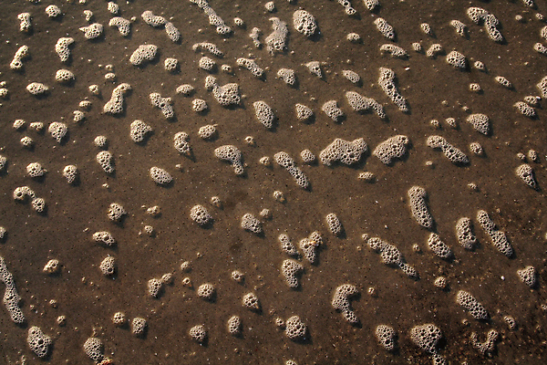 포토 JPG 해외이미지 계절 모래 파도 바다 여행 백그라운드 자연 휴가 휴식 풍경 사람없음 야외 물 여름 파란색 평화 거품 흰색 메시지 휴양지 질감 해외202004 해외포토 자연요소 컬러 컨셉 장소 생태계 파일형식 이미지허브