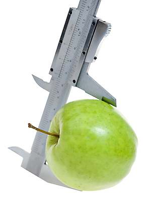 포토 JPG 해외이미지 길 음식 백그라운드 다이어트 과일 자연 노동자 건강 사람없음 초록색 금속 정원 장비 흰색 기구 공구 신선 업무 수리 달콤 맛 사과 자르기 수집 측정 오브젝트 유기농 정비공 내추럴 고립 숙성 조작 채식주의자 철강 해외202004 해외포토 직업 웰빙 컬러 컨셉 모션 재질 도구 작업 기술자 생태계 채식 파일형식 이미지허브