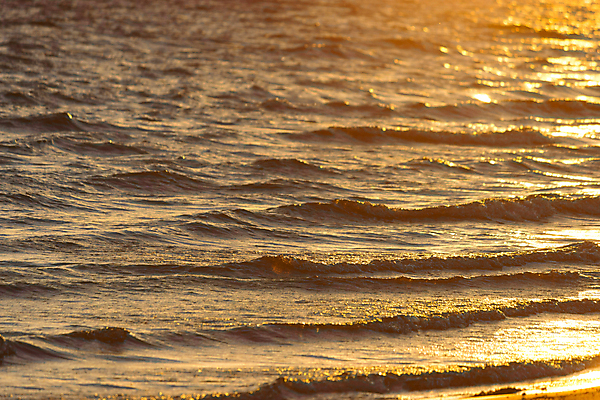 포토 JPG 해외이미지 물결 모래 파도 바다 여행 백그라운드 오렌지 자연 조류 하늘 표면 휴가 휴식 풍경 사람없음 야외 물 여름 파란색 강 햇빛 태양 침묵 일몰 새벽 젖음 흐름 흰색 신선 거친 액체 개울 서핑 닫기 떨어짐 질감 장면 특별함 해외202004 해외포토 자연요소 동물 계절 컬러 컨셉 과일 모션 노을 소리 수상스포츠 생태계 파일형식 이미지허브