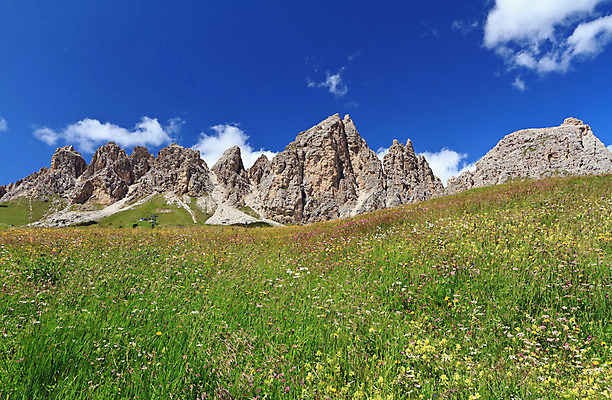 포토 JPG 해외이미지 꽃 유럽 도로 길 여행 자연 하늘 휴가 산 풍경 사람없음 야외 초록색 여름 파란색 이탈리아 트래킹 하이킹 정상 오솔길 알프스 해외202004 해외포토 식물 계절 나라 컬러 교통시설 레저 생태계 파일형식 이미지허브