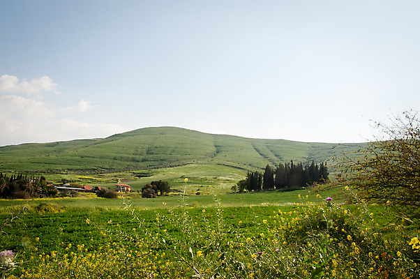 포토 JPG 해외이미지 나무 꽃 하늘 산 파노라마 사람없음 파란색 이스라엘 해외202004 해외포토 식물 컬러 촬영기법 서아시아 파일형식 이미지허브