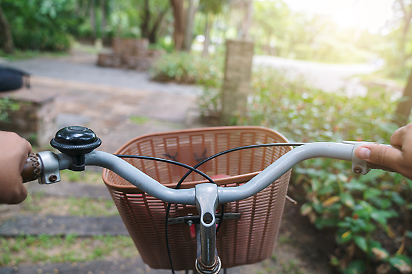 포토 JPG 해외이미지 나무 행복 도로 스포츠 자연 산 사람 사람없음 야외 여름 자전거 수확 승차 숲 속도 바이킹 해외202004 해외포토 식물 계절 감정 길 농업 교통시설 모션 바이크 생태계 파일형식 이미지허브