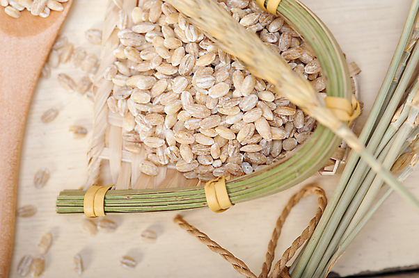 포토 JPG 해외이미지 근접촬영 사람없음 농작물 낟알 보리 보리이삭 해외202004 해외포토 뷰포인트 농업 곡류 이삭 파일형식 이미지허브