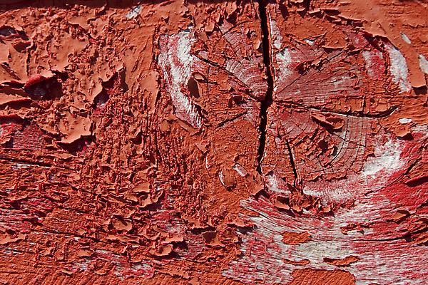 포토 JPG 해외이미지 나무 디자인 선 벽 백그라운드 패턴 자연 표면 날씨 추상 외벽 사람없음 목재 빨간색 울타리 문 페인트 수확 시골 판넬 거친 그리기 닫기 널 낟알 묘사 질감 복고 잡동사니 내추럴 그런지 수목 옛날 노화 효과 해외202004 해외포토 식물 컬러 컨셉 무늬 농업 재료 모션 담장 생태계 파일형식 이미지허브