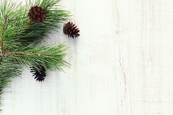 포토 JPG 해외이미지 나무 디자인 행복 백그라운드 크리스마스 겨울 공 탁자 표면 휴가 새로움 프레임 사람없음 목재 장식 빨간색 초록색 빛 장난감 우주 축제 공백 장식볼 수확 흰색 나뭇가지 축하 인사 소나무 신용카드 플랫 널 정상 연도 솔방울 카피스페이스 해외202004 해외포토 식물 계절 기념일 감정 컬러 가구 컨셉 농업 재료 금융 예절 파일형식 이미지허브