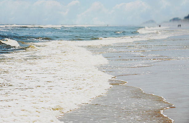 포토 JPG 해외이미지 모래 파도 바다 조류 하늘 날씨 사람없음 물 여름 파란색 평화 거품 젖음 안개 뜨거움 해외202004 해외포토 자연요소 동물 계절 컬러 컨셉 파일형식 이미지허브