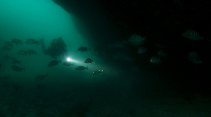 포토 JPG 해외이미지 남자 실루엣 바다 학교 자연 멕시코 어류 한명 사람 성인 물 빛 수중 수영 어둠 탐험 터널 동굴 산호 잠수부 소금 태평양 암초 소금물 해외202004 해외포토 자연요소 1 교육 길 북아메리카 촬영기법 수중동물 수상스포츠 자포동물 전문직 생태계 파일형식 이미지허브