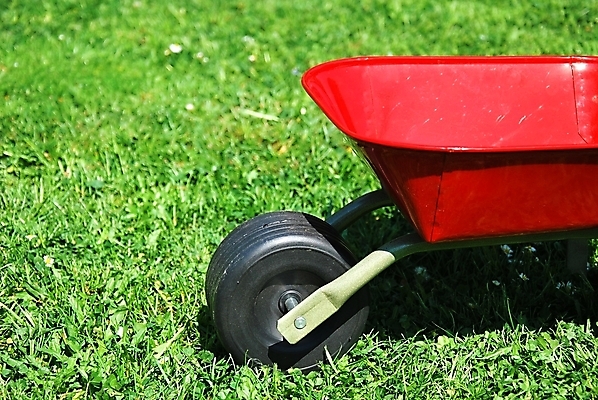 포토 JPG 해외이미지 계절 놀이 잔디 사람없음 빨간색 초록색 상자 장난감 달리기 정원 검은색 카트 봄 운전 화물 시간 업무 바퀴 해외202004 해외포토 식물 컬러 모션 운송업 작업 파일형식 이미지허브