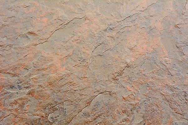 포토 JPG 해외이미지 디자인 백그라운드 패턴 오렌지 벽지 표면 추상 바닥 사람없음 장식 갈색 어둠 도자기 타일 묘사 질감 해외202004 해외포토 컬러 무늬 과일 파일형식 이미지허브