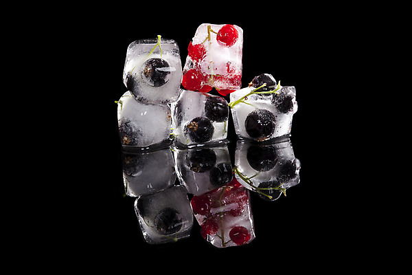 포토 JPG 해외이미지 스튜디오촬영 열매 과일 사람없음 빨간색 냉동 얼음 검은색 블록 시원함 큐브 건포도 해외202004 해외포토 자연요소 식물 컬러 포도 실내 건과일 파일형식 이미지허브